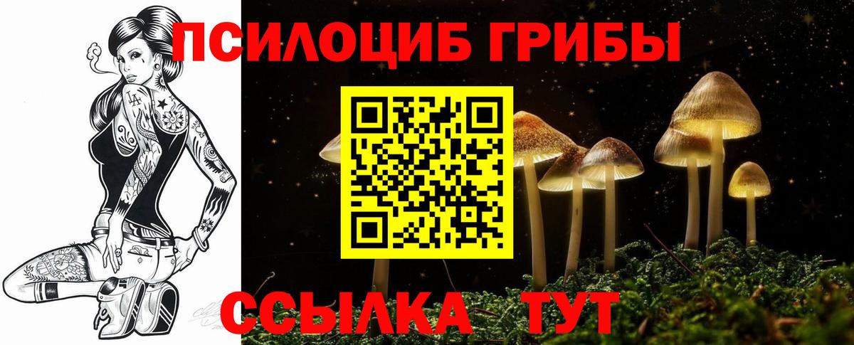 купить закладку  Вход с VPN  Рассказово  Галлюциногенные грибы Psilocybe 